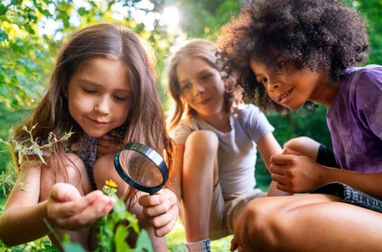 Cultivating Curiosity in Toddlers